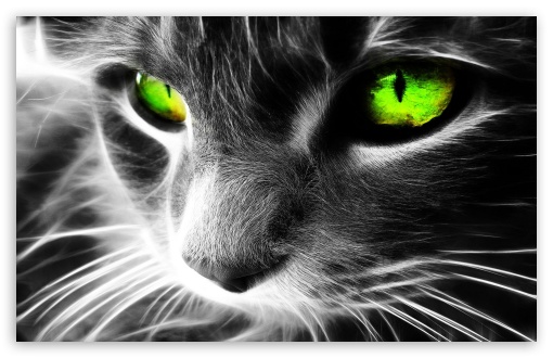 Cat Abstract Eyes  UltraHD Wallpaper for Wide 16:10 Widescreen WHXGA WQXGA WUXGA WXGA ;
