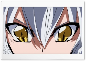 Cat Eyes Manga Ultra HD Wallpaper for 4K UHD Widescreen desktop, tablet & smartphone