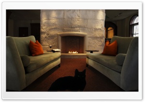 Cat in the Living Room Ultra HD Wallpaper for 4K UHD Widescreen desktop, tablet & smartphone