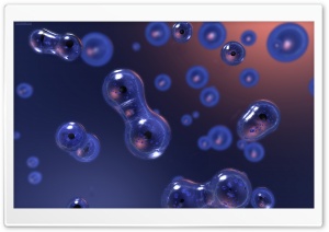 Cell Division Ultra HD Wallpaper for 4K UHD Widescreen desktop, tablet & smartphone