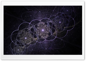 Celtic Flowers Ultra HD Wallpaper for 4K UHD Widescreen desktop, tablet & smartphone