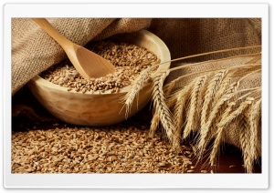 Cereal Grains Background Ultra HD Wallpaper for 4K UHD Widescreen desktop, tablet & smartphone