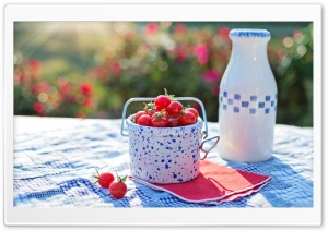 Cherry Tomatoes Ultra HD Wallpaper for 4K UHD Widescreen desktop, tablet & smartphone