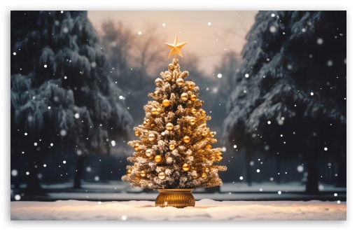 Christmas Eve, Christmas Tree in the Park UltraHD Wallpaper for Wide 16:10 5:3 Widescreen WHXGA WQXGA WUXGA WXGA WGA ; UltraWide 21:9 24:10 ; 8K UHD TV 16:9 Ultra High Definition 2160p 1440p 1080p 900p 720p ; UHD 16:9 2160p 1440p 1080p 900p 720p ; Standard 4:3 5:4 3:2 Fullscreen UXGA XGA SVGA QSXGA SXGA DVGA HVGA HQVGA ( Apple PowerBook G4 iPhone 4 3G 3GS iPod Touch ) ; Smartphone 16:9 3:2 5:3 2160p 1440p 1080p 900p 720p DVGA HVGA HQVGA ( Apple PowerBook G4 iPhone 4 3G 3GS iPod Touch ) WGA ; Tablet 1:1 ; iPad 1/2/Mini ; Mobile 4:3 5:3 3:2 16:9 5:4 - UXGA XGA SVGA WGA DVGA HVGA HQVGA ( Apple PowerBook G4 iPhone 4 3G 3GS iPod Touch ) 2160p 1440p 1080p 900p 720p QSXGA SXGA ;