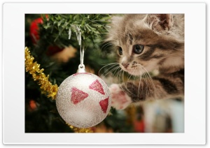 Christmas is coming Ultra HD Wallpaper for 4K UHD Widescreen desktop, tablet & smartphone