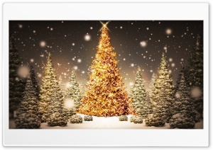 Christmas tree Ultra HD Wallpaper for 4K UHD Widescreen desktop, tablet & smartphone
