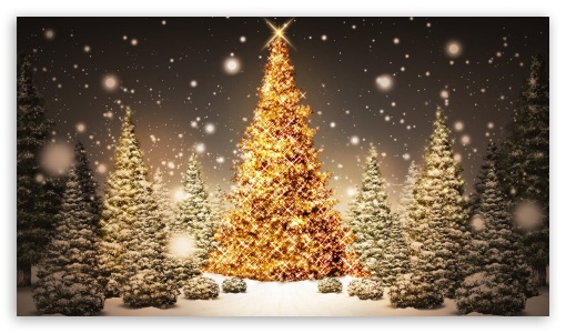 Christmas tree UltraHD Wallpaper for 8K UHD TV 16:9 Ultra High Definition 2160p 1440p 1080p 900p 720p ; Mobile 16:9 - 2160p 1440p 1080p 900p 720p ;