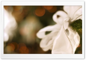 Christmas Tree Bow Ultra HD Wallpaper for 4K UHD Widescreen desktop, tablet & smartphone