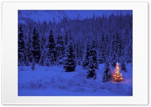 Christmas Trees 3 Ultra HD Wallpaper for 4K UHD Widescreen desktop, tablet & smartphone
