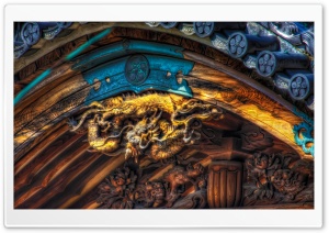 Coiled Dragon Ultra HD Wallpaper for 4K UHD Widescreen desktop, tablet & smartphone