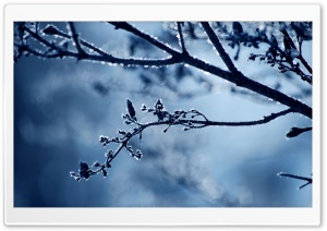 Cold Day Ultra HD Wallpaper for 4K UHD Widescreen desktop, tablet & smartphone