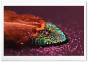 Color Ultra HD Wallpaper for 4K UHD Widescreen desktop, tablet & smartphone