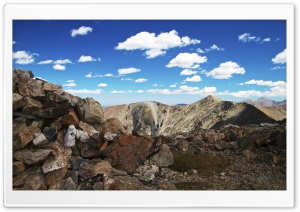 Colorado Mountain Goat Ultra HD Wallpaper for 4K UHD Widescreen desktop, tablet & smartphone