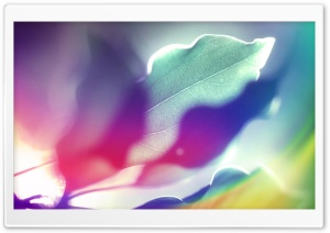 Colored Leaves 5 Ultra HD Wallpaper for 4K UHD Widescreen desktop, tablet & smartphone