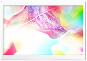 Colored Leaves 7 Ultra HD Wallpaper for 4K UHD Widescreen desktop, tablet & smartphone