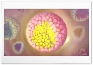 Colorful Bacteria Ultra HD Wallpaper for 4K UHD Widescreen desktop, tablet & smartphone