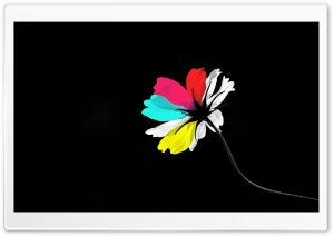 Colorful Petals Cosmos Ultra HD Wallpaper for 4K UHD Widescreen desktop, tablet & smartphone