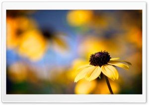 Cool Autumn Ultra HD Wallpaper for 4K UHD Widescreen desktop, tablet & smartphone