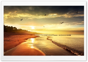 COOL NATURE Ultra HD Wallpaper for 4K UHD Widescreen desktop, tablet & smartphone