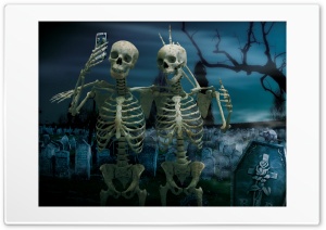 cool pics Ultra HD Wallpaper for 4K UHD Widescreen desktop, tablet & smartphone