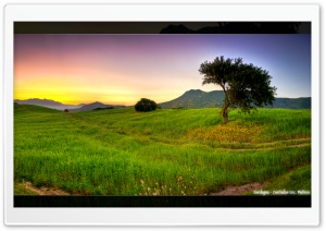 Costa Rei, Sardinia, Italy Ultra HD Wallpaper for 4K UHD Widescreen desktop, tablet & smartphone