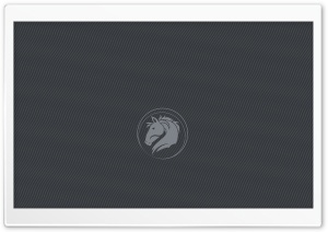CrazyHorse Ultra HD Wallpaper for 4K UHD Widescreen desktop, tablet & smartphone