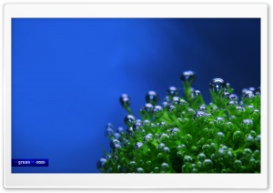 Creative Design 73 Ultra HD Wallpaper for 4K UHD Widescreen desktop, tablet & smartphone