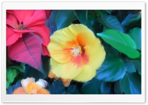 Creativity Ultra HD Wallpaper for 4K UHD Widescreen desktop, tablet & smartphone