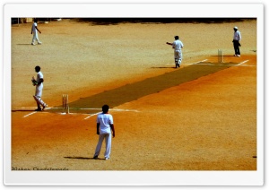 Cricket. Ultra HD Wallpaper for 4K UHD Widescreen desktop, tablet & smartphone