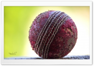 Cricket Ball Ultra HD Wallpaper for 4K UHD Widescreen desktop, tablet & smartphone