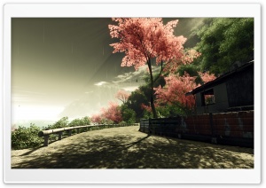Crysis Sakura Ultra HD Wallpaper for 4K UHD Widescreen desktop, tablet & smartphone