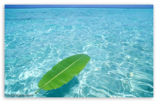 Crystal clear water UltraHD Wallpaper for Wide 16:10 Widescreen WHXGA WQXGA WUXGA WXGA ;