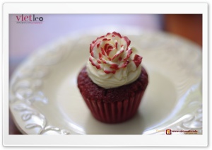 Cupcake Rose Ultra HD Wallpaper for 4K UHD Widescreen desktop, tablet & smartphone