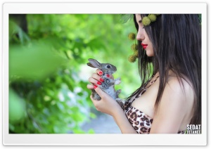 Cute Bunny Ultra HD Wallpaper for 4K UHD Widescreen desktop, tablet & smartphone