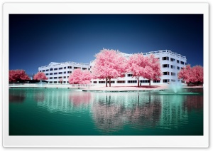 Cute Pink Trees Ultra HD Wallpaper for 4K UHD Widescreen desktop, tablet & smartphone