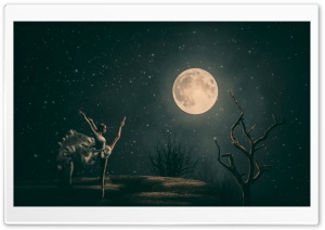 Dancing Ballet, Moonlight Ultra HD Wallpaper for 4K UHD Widescreen desktop, tablet & smartphone