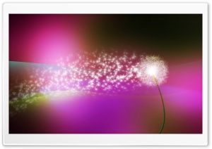 Dandelion Blowing In The Wind Ultra HD Wallpaper for 4K UHD Widescreen desktop, tablet & smartphone