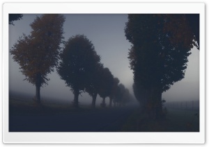 Dark Autumn Day Ultra HD Wallpaper for 4K UHD Widescreen desktop, tablet & smartphone