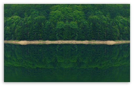 Dark Green Forest by the River Ultra HD Desktop Background Wallpaper for 4K  UHD TV : Widescreen & UltraWide Desktop & Laptop : Tablet : Smartphone