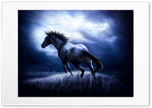 Dark Horse Ultra HD Wallpaper for 4K UHD Widescreen desktop, tablet & smartphone