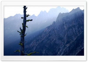 Dead Tree and Mountains Ultra HD Wallpaper for 4K UHD Widescreen desktop, tablet & smartphone