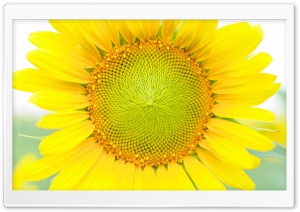 Dear Summer Ultra HD Wallpaper for 4K UHD Widescreen desktop, tablet & smartphone