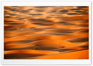 Desert Sand Dunes Ultra HD Wallpaper for 4K UHD Widescreen desktop, tablet & smartphone