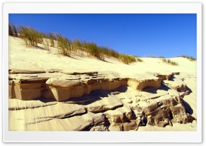 Desert Vegetation Ultra HD Wallpaper for 4K UHD Widescreen desktop, tablet & smartphone