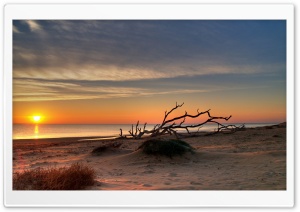 Deserted Beach Ultra HD Wallpaper for 4K UHD Widescreen desktop, tablet & smartphone