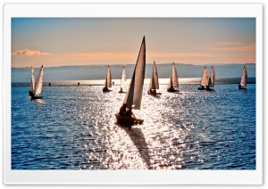 Dinghy Sailing Ultra HD Wallpaper for 4K UHD Widescreen desktop, tablet & smartphone