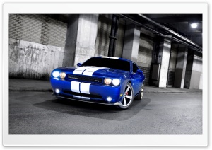 Dodge Challenger SRT8 White Stripes Ultra HD Wallpaper for 4K UHD Widescreen desktop, tablet & smartphone
