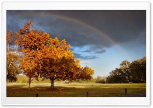 Double Rainbow Ultra HD Wallpaper for 4K UHD Widescreen desktop, tablet & smartphone
