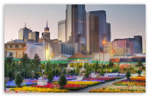 Downtown Dallas From The Flower Market UltraHD Wallpaper for Wide 16:10 5:3 Widescreen WHXGA WQXGA WUXGA WXGA WGA ; 8K UHD TV 16:9 Ultra High Definition 2160p 1440p 1080p 900p 720p ; Standard 4:3 5:4 3:2 Fullscreen UXGA XGA SVGA QSXGA SXGA DVGA HVGA HQVGA ( Apple PowerBook G4 iPhone 4 3G 3GS iPod Touch ) ; Tablet 1:1 ; iPad 1/2/Mini ; Mobile 4:3 5:3 3:2 5:4 - UXGA XGA SVGA WGA DVGA HVGA HQVGA ( Apple PowerBook G4 iPhone 4 3G 3GS iPod Touch ) QSXGA SXGA ;