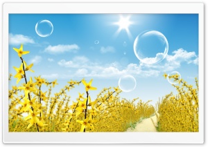 Dreamscape Summer 11 Ultra HD Wallpaper for 4K UHD Widescreen desktop, tablet & smartphone